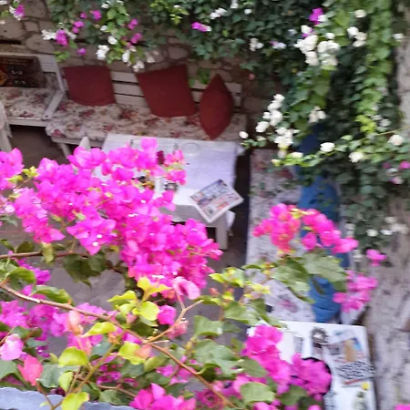 베디르한 코낙 오텔 3* 알라카티